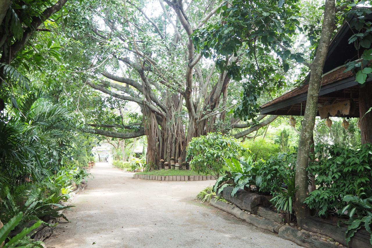 Khum Khun Wang Resort Mae Wang Exteriér fotografie